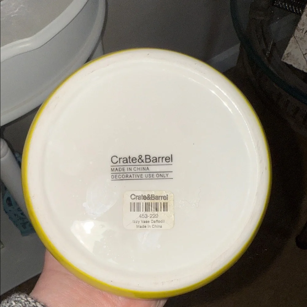 Crate & Barrel Izzy Daffodil Vase
